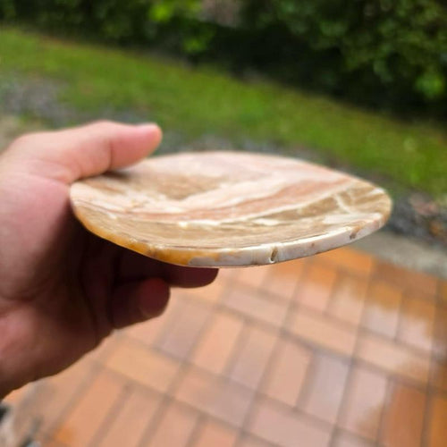 Fossilien Schale Mineralien Sammler Steine Kristalle