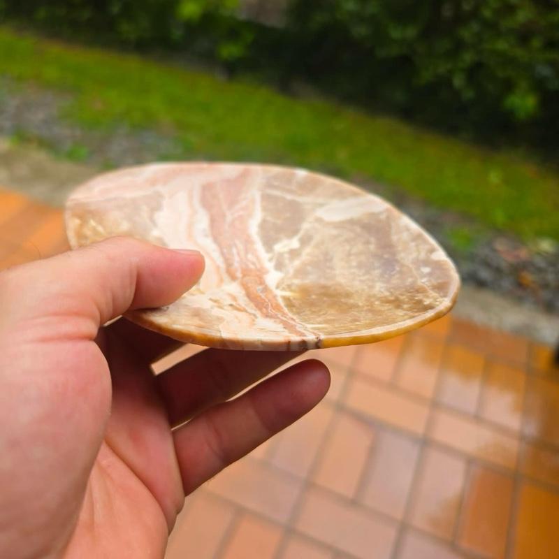Fossilien Schale Mineralien Sammler Steine Kristalle