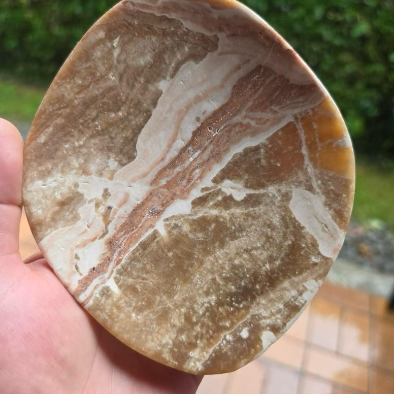 Fossilien Schale Mineralien Sammler Steine Kristalle