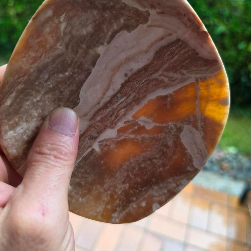 Fossilien Schale Mineralien Sammler Steine Kristalle